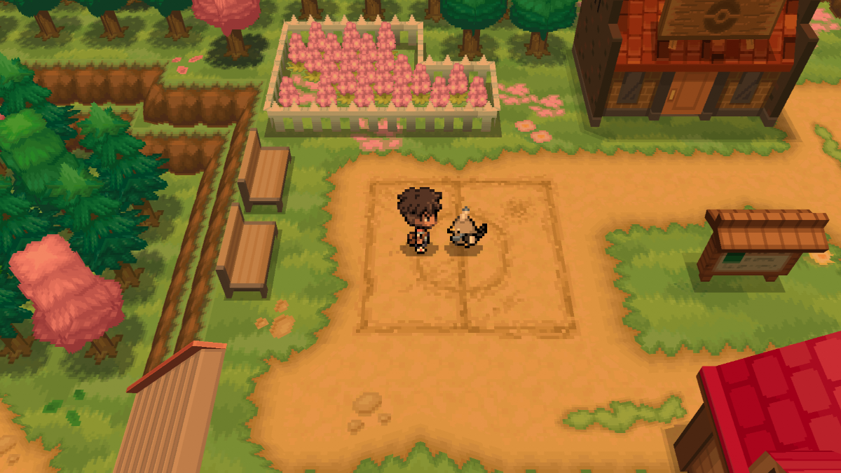 Chirpchick standing next to the trainer